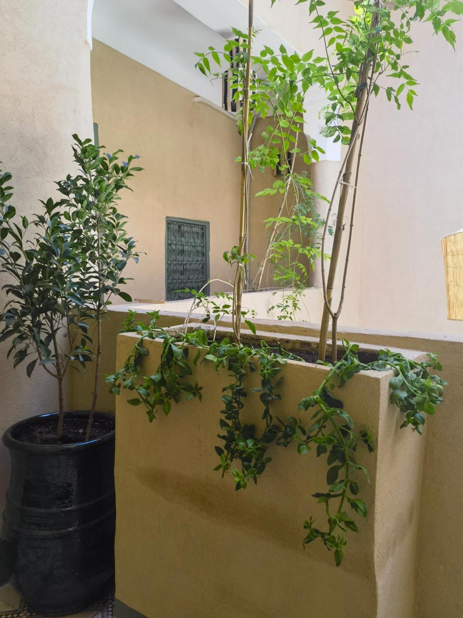 Medina Oasis Hostel Μαρακές Εξωτερικό φωτογραφία