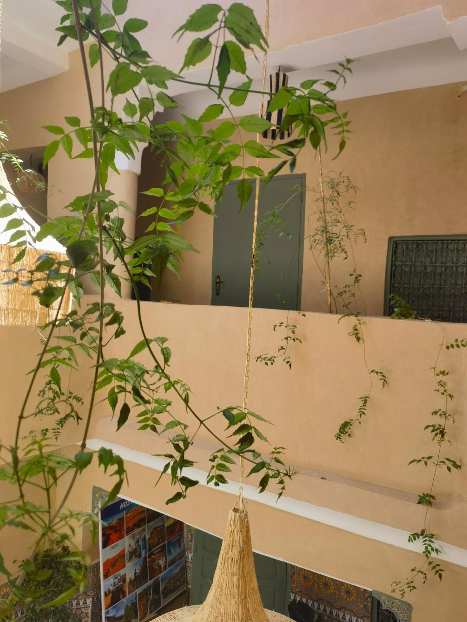 Medina Oasis Hostel Μαρακές Εξωτερικό φωτογραφία