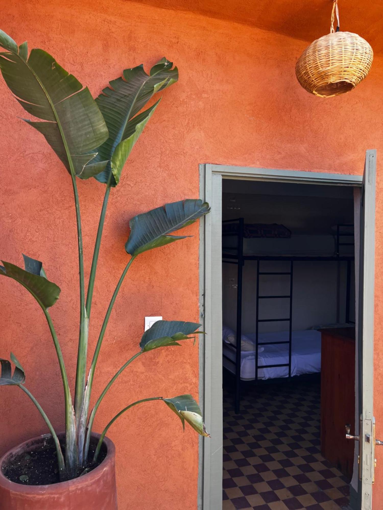 Medina Oasis Hostel Μαρακές Εξωτερικό φωτογραφία